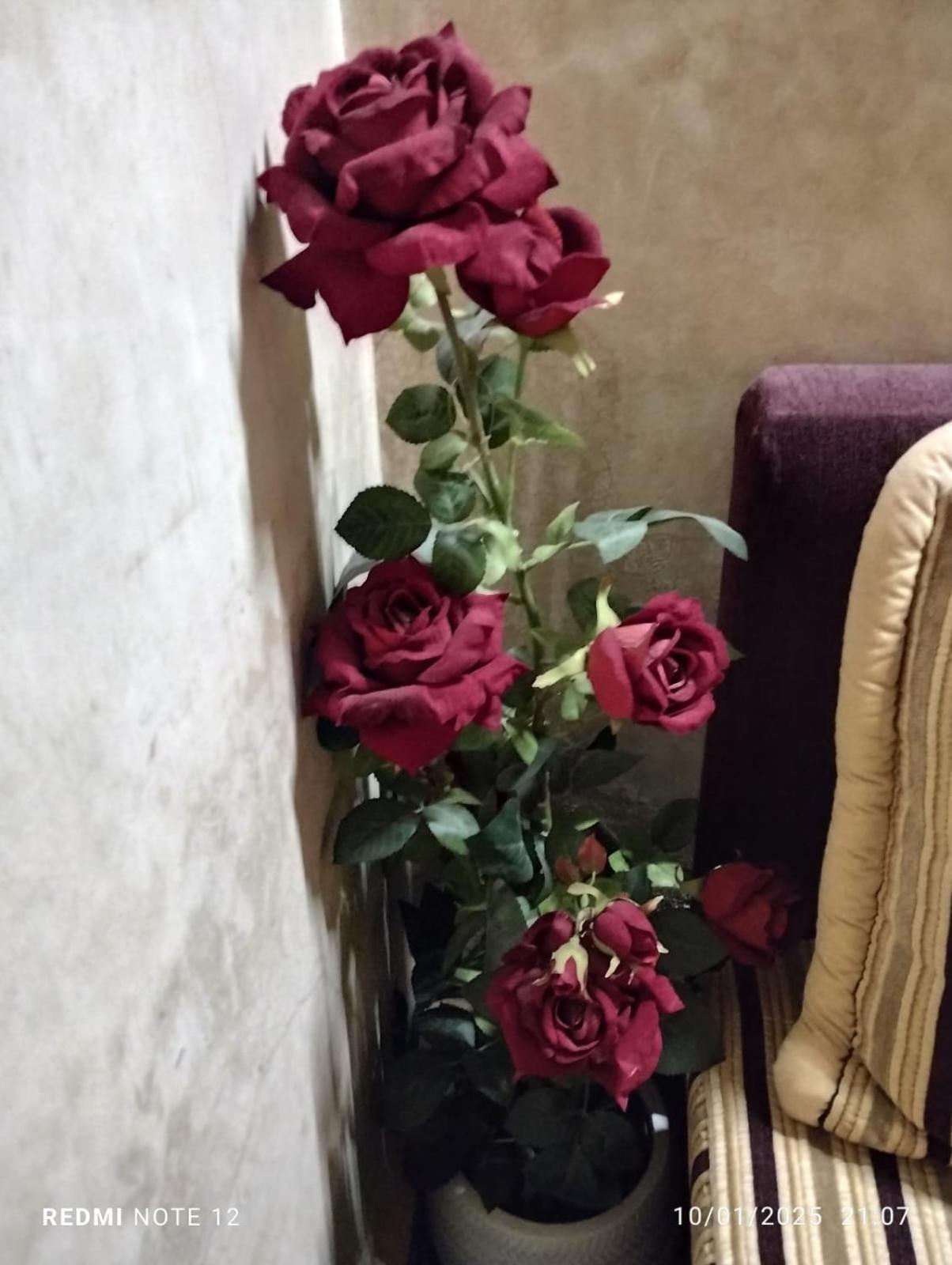 Riad Mille Et Une Nuits Marrakesh Esterno foto